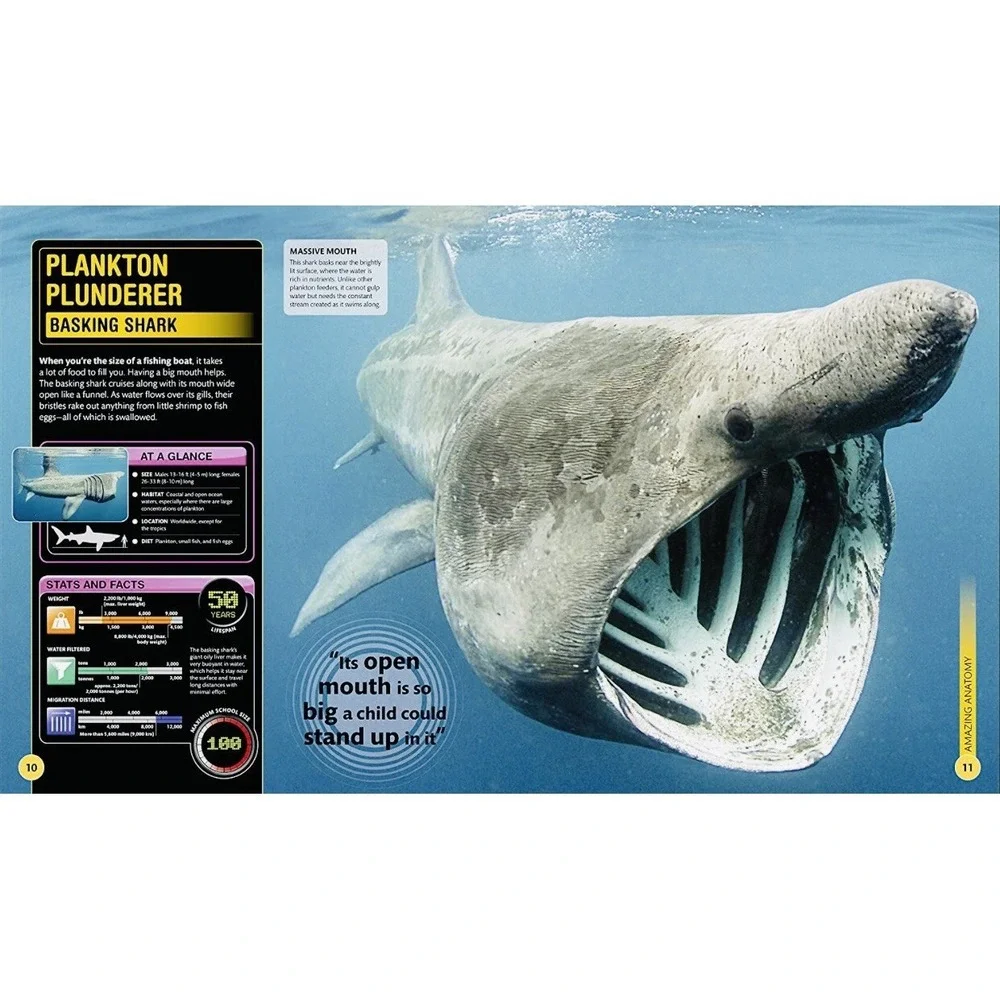 Super Shark Encyclopedia - Paperback - Preowned, LIKE NEW | FAST SHIPPING